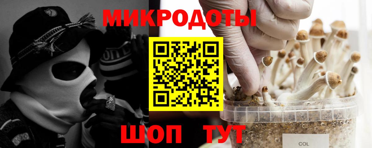 Галлюциногенные грибы Cubensis  Вход с VPN  Черкесск  Псилоцибиновые грибы прущие грибы 